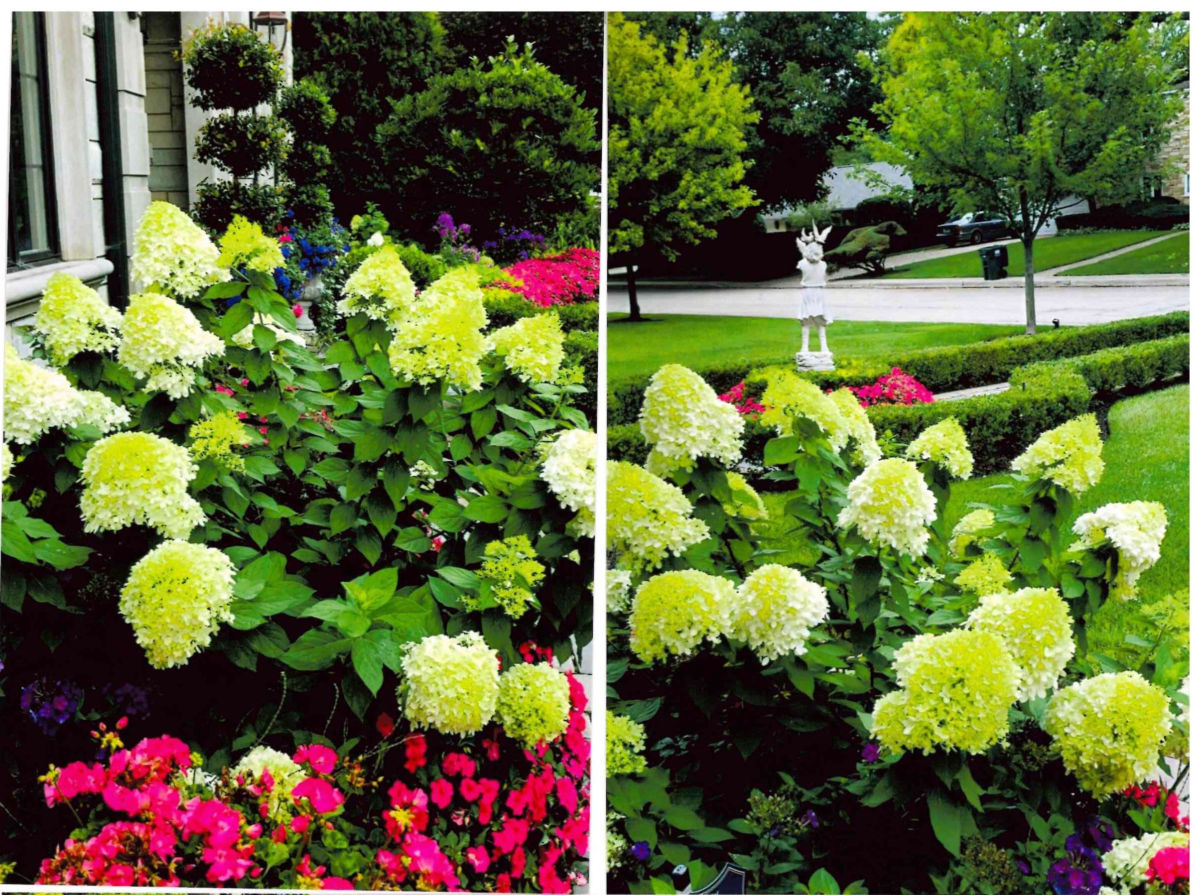 2023 Lincolnwood in Bloom - 2nd Place