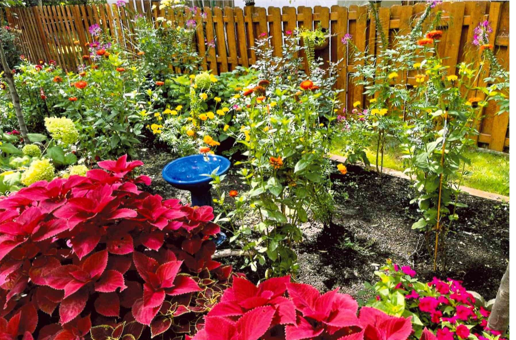 2023 Lincolnwood in Bloom - 2nd Place