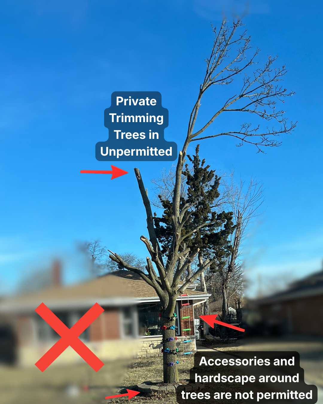 Private Trimming Trees in Unpermitted